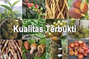 panen-aneka-perkebunan